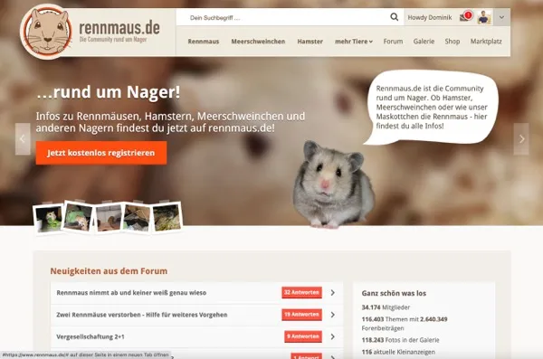 Fig. 1: Website